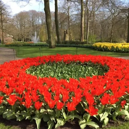 Rozenobel Σπίτι διακοπών Zandvoort