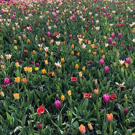 Rozenobel Casa vacanze *